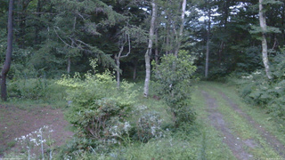 長野県菅平高原 ゆたか山荘 坂上 2026/08/12 18:45