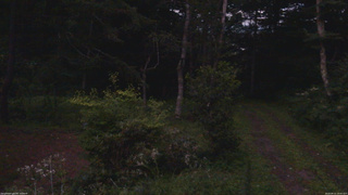 長野県菅平高原 ゆたか山荘 坂上 2026/08/12 19:00
