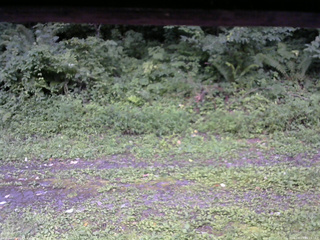 長野県菅平高原 ゆたか山荘 東側(坂下) 2026/08/13 16:15