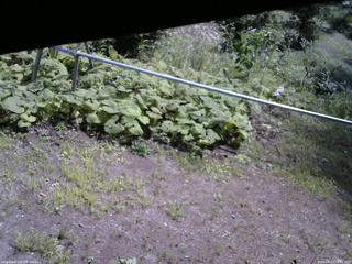 長野県菅平高原 ゆたか山荘 駐車場 2026/08/13 10:45