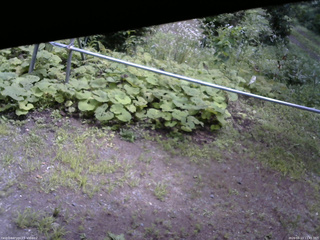 長野県菅平高原 ゆたか山荘 駐車場 2026/08/13 11:45