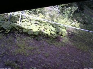 長野県菅平高原 ゆたか山荘 駐車場 2026/08/13 15:45