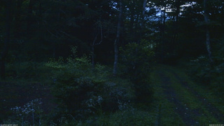 長野県菅平高原 ゆたか山荘 坂上 2026/08/13 05:00