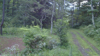 長野県菅平高原 ゆたか山荘 坂上 2026/08/13 05:15