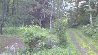 長野県菅平高原 ゆたか山荘 坂上 2026/08/13 05:30