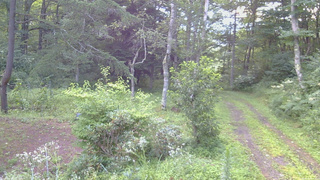 長野県菅平高原 ゆたか山荘 坂上 2026/08/13 05:45
