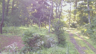 長野県菅平高原 ゆたか山荘 坂上 2026/08/13 06:15