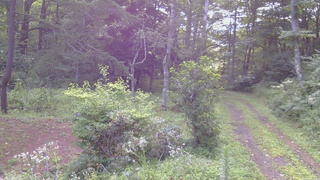長野県菅平高原 ゆたか山荘 坂上 2026/08/13 06:30