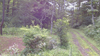 長野県菅平高原 ゆたか山荘 坂上 2026/08/13 06:45