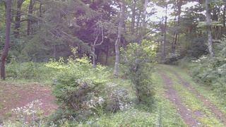 長野県菅平高原 ゆたか山荘 坂上 2026/08/13 07:00