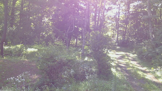 長野県菅平高原 ゆたか山荘 坂上 2026/08/13 07:30