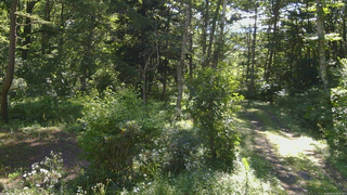 長野県菅平高原 ゆたか山荘 坂上 2026/08/13 08:30
