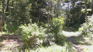 長野県菅平高原 ゆたか山荘 坂上 2026/08/13 09:30