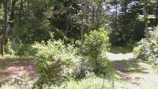 長野県菅平高原 ゆたか山荘 坂上 2026/08/13 09:45