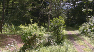 長野県菅平高原 ゆたか山荘 坂上 2026/08/13 10:00