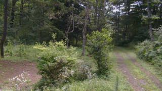 長野県菅平高原 ゆたか山荘 坂上 2026/08/13 10:15