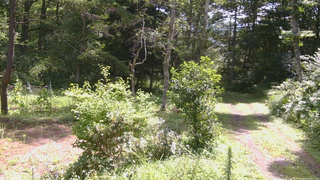 長野県菅平高原 ゆたか山荘 坂上 2026/08/13 10:30
