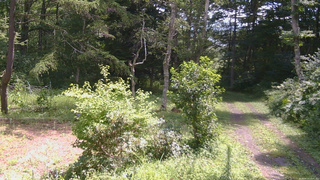 長野県菅平高原 ゆたか山荘 坂上 2026/08/13 10:45