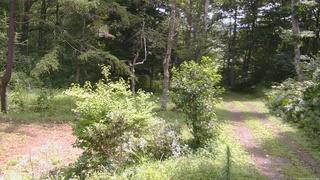 長野県菅平高原 ゆたか山荘 坂上 2026/08/13 11:00