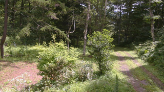 長野県菅平高原 ゆたか山荘 坂上 2026/08/13 11:15
