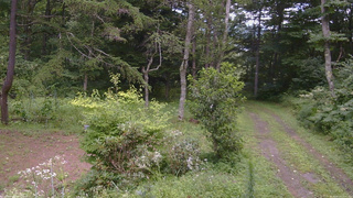 長野県菅平高原 ゆたか山荘 坂上 2026/08/13 11:30