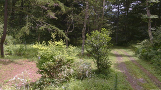 長野県菅平高原 ゆたか山荘 坂上 2026/08/13 11:45