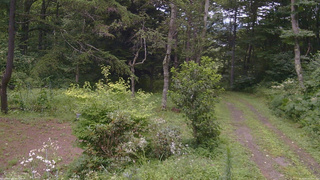 長野県菅平高原 ゆたか山荘 坂上 2026/08/13 12:00