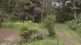 長野県菅平高原 ゆたか山荘 坂上 2026/08/13 12:15