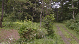 長野県菅平高原 ゆたか山荘 坂上 2026/08/13 12:30