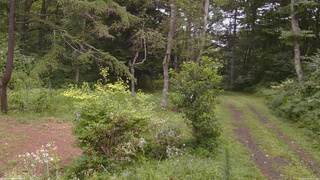 長野県菅平高原 ゆたか山荘 坂上 2026/08/13 12:45