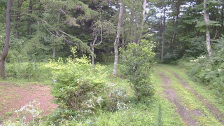 長野県菅平高原 ゆたか山荘 坂上 2026/08/13 13:00