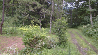長野県菅平高原 ゆたか山荘 坂上 2026/08/13 13:15