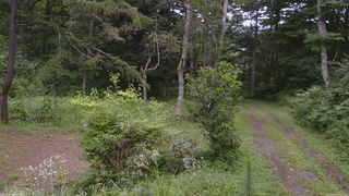長野県菅平高原 ゆたか山荘 坂上 2026/08/13 13:30