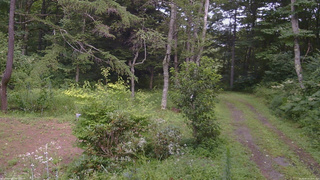 長野県菅平高原 ゆたか山荘 坂上 2026/08/13 13:45