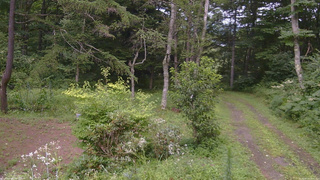 長野県菅平高原 ゆたか山荘 坂上 2026/08/13 14:00