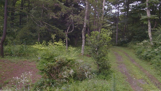 長野県菅平高原 ゆたか山荘 坂上 2026/08/13 14:15