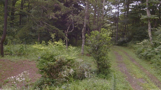 長野県菅平高原 ゆたか山荘 坂上 2026/08/13 14:30