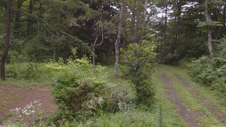 長野県菅平高原 ゆたか山荘 坂上 2026/08/13 14:45
