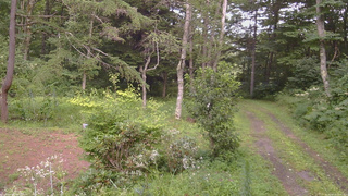 長野県菅平高原 ゆたか山荘 坂上 2026/08/13 15:00