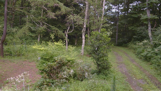 長野県菅平高原 ゆたか山荘 坂上 2026/08/13 15:30