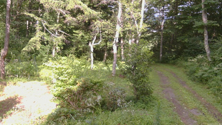 長野県菅平高原 ゆたか山荘 坂上 2026/08/13 15:45