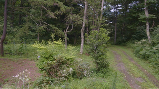 長野県菅平高原 ゆたか山荘 坂上 2026/08/13 16:00