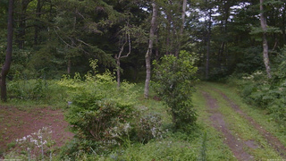 長野県菅平高原 ゆたか山荘 坂上 2026/08/13 16:15