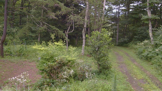 長野県菅平高原 ゆたか山荘 坂上 2026/08/13 16:30