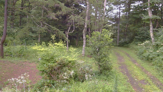 長野県菅平高原 ゆたか山荘 坂上 2026/08/13 16:45