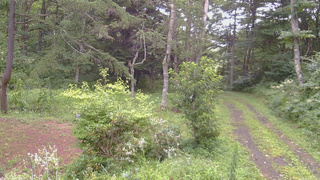 長野県菅平高原 ゆたか山荘 坂上 2026/08/13 17:00