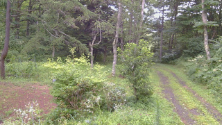 長野県菅平高原 ゆたか山荘 坂上 2026/08/13 17:15