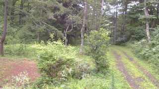 長野県菅平高原 ゆたか山荘 坂上 2026/08/13 17:30