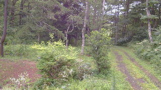 長野県菅平高原 ゆたか山荘 坂上 2026/08/13 17:45