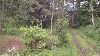 長野県菅平高原 ゆたか山荘 坂上 2026/08/13 18:00